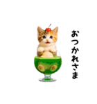 動く！リアル猫の日常3（個別スタンプ：2）