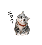 動く！リアル猫の日常3（個別スタンプ：5）