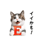 動く！リアル猫の日常3（個別スタンプ：6）