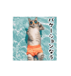 動く！リアル猫の日常3（個別スタンプ：23）