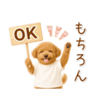 ポジティブな気持ちを伝える☆プードル（個別スタンプ：1）
