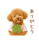 ポジティブな気持ちを伝える☆プードル（個別スタンプ：3）