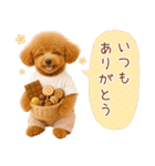 ポジティブな気持ちを伝える☆プードル（個別スタンプ：4）
