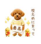 ポジティブな気持ちを伝える☆プードル（個別スタンプ：5）