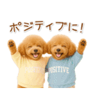 ポジティブな気持ちを伝える☆プードル（個別スタンプ：6）