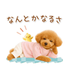 ポジティブな気持ちを伝える☆プードル（個別スタンプ：7）