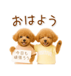 ポジティブな気持ちを伝える☆プードル（個別スタンプ：9）