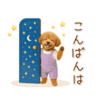 ポジティブな気持ちを伝える☆プードル（個別スタンプ：11）