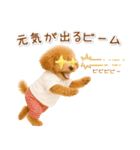 ポジティブな気持ちを伝える☆プードル（個別スタンプ：16）