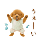ポジティブな気持ちを伝える☆プードル（個別スタンプ：19）