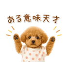 ポジティブな気持ちを伝える☆プードル（個別スタンプ：22）