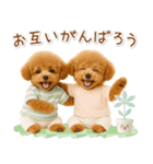 ポジティブな気持ちを伝える☆プードル（個別スタンプ：30）