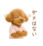 ポジティブな気持ちを伝える☆プードル（個別スタンプ：33）