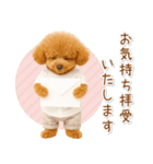 ポジティブな気持ちを伝える☆プードル（個別スタンプ：36）