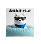 ぐでいぬ。気づけば2025…やる気なし(再販)（個別スタンプ：16）