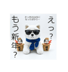 ぐでいぬ。気づけば2025…やる気なし(再販)（個別スタンプ：31）