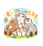 猫たちとペンギンのスタンプ♡【丁寧敬語】（個別スタンプ：12）