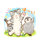 猫たちとペンギンのスタンプ♡【丁寧敬語】（個別スタンプ：13）