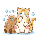 猫たちとペンギンのスタンプ♡【丁寧敬語】（個別スタンプ：26）