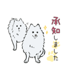 日本スピッツ とろろ君とセナ君のスタンプ（個別スタンプ：1）