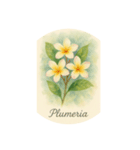 ハワイで咲く花シリーズ:Hawaiian Flowers（個別スタンプ：2）
