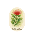 ハワイで咲く花シリーズ:Hawaiian Flowers（個別スタンプ：5）