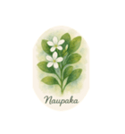 ハワイで咲く花シリーズ:Hawaiian Flowers（個別スタンプ：7）