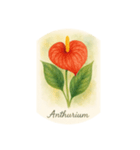 ハワイで咲く花シリーズ:Hawaiian Flowers（個別スタンプ：8）