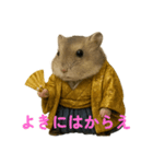 ぷくちゃん将軍（個別スタンプ：6）