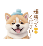 かわいい犬たち カラフル 思いやり 敬語（個別スタンプ：17）
