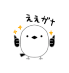 シマエナガ カワエエガナ（個別スタンプ：1）