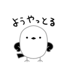 シマエナガ カワエエガナ（個別スタンプ：14）
