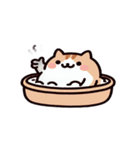 お風呂猫 なによ,（個別スタンプ：31）
