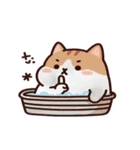 お風呂猫 ふんっ,（個別スタンプ：11）