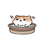 お風呂猫 ふんっ,（個別スタンプ：30）