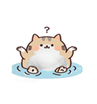 お風呂猫 にこにこ,（個別スタンプ：12）