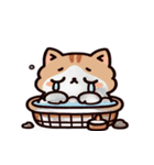 お風呂猫 にこにこ,（個別スタンプ：13）