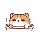 お風呂猫 にこにこ,（個別スタンプ：27）