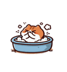 お風呂猫 笑いをこらえる,（個別スタンプ：13）