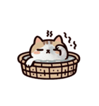 お風呂猫 笑いをこらえる,（個別スタンプ：16）