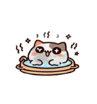 お風呂猫 疑ってる,（個別スタンプ：6）