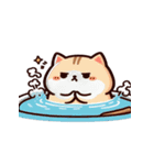 お風呂猫 ありがとう,（個別スタンプ：5）