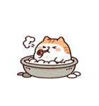お風呂猫 ごはんだよ,（個別スタンプ：19）
