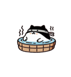 お風呂猫 見えない,（個別スタンプ：17）