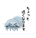 大王Good息虫とゆかいな仲間たち（個別スタンプ：19）