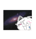ルリにゃんこスタンプ【第2弾】（個別スタンプ：19）