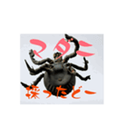 マダニの独り言（個別スタンプ：3）