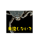 マダニの独り言（個別スタンプ：7）