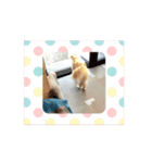 ミィくんの梅雨ドキドキ（個別スタンプ：4）