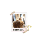 ミィくんの梅雨ドキドキ（個別スタンプ：7）